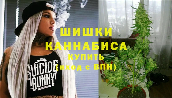 твердый Горнозаводск