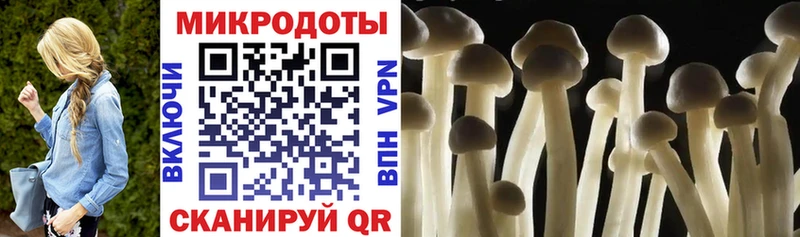 Галлюциногенные грибы GOLDEN TEACHER Дятьково