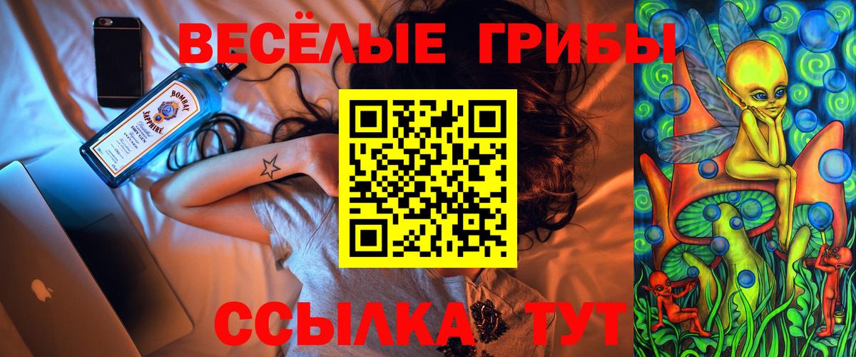 Галлюциногенные грибы Psilocybine cubensis Дятьково