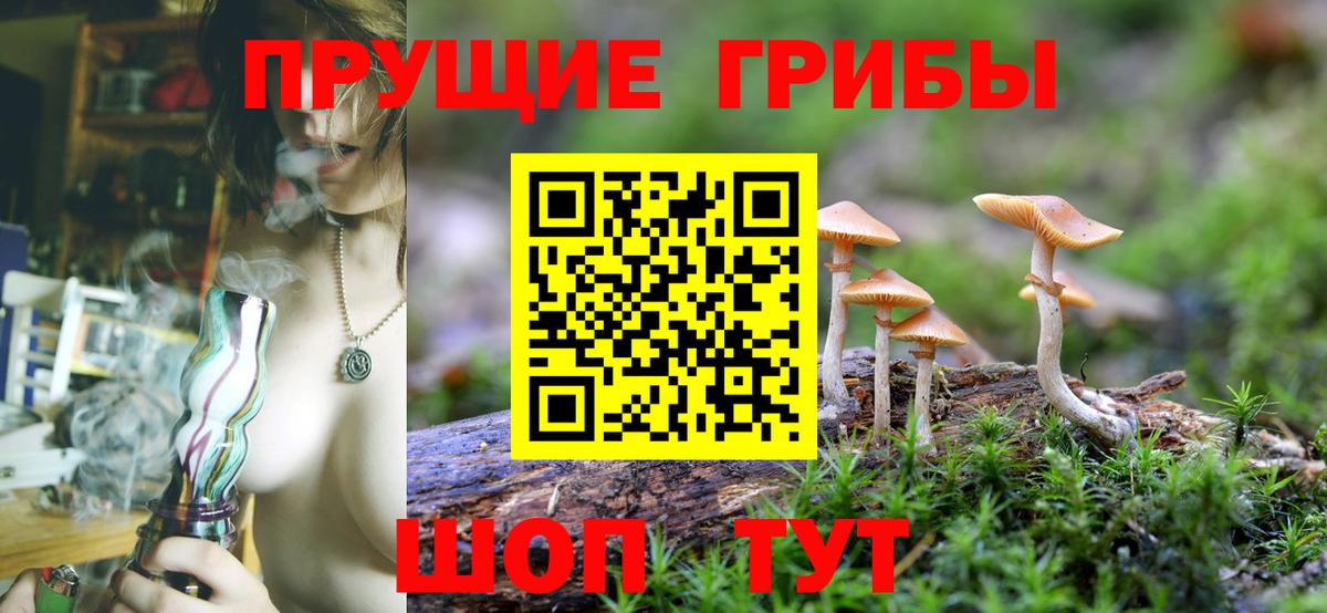 Псилоцибиновые грибы ЛСД  Дятьково  Галлюциногенные грибы Psilocybe 